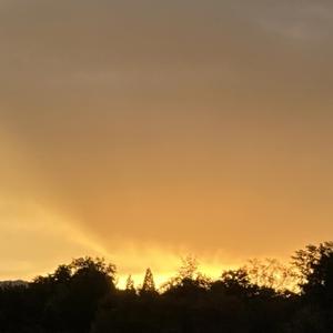 Lucky J (Remastered 2025)