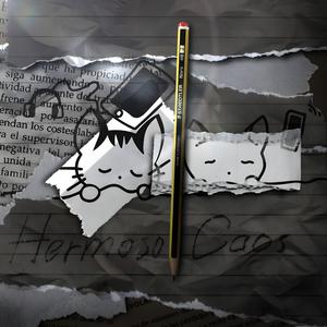 Meraki (feat. V.zacci)