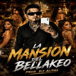La Mansion Del Bellakeo