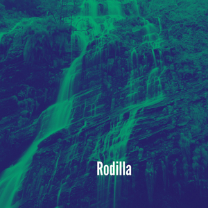 Rodilla
