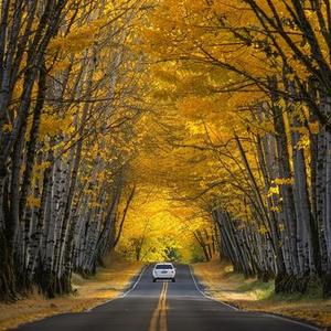 怎会有人知道你的苦