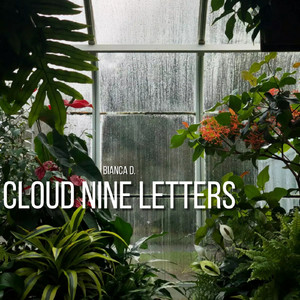 Velvet Morning Skies