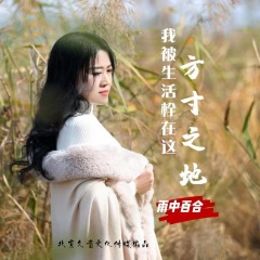 我被生活栓在这方寸之地