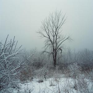 The Last Breath of Winter Soil