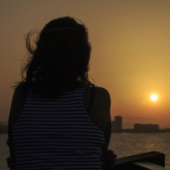 你不是我的酒杯我也不是你的泪