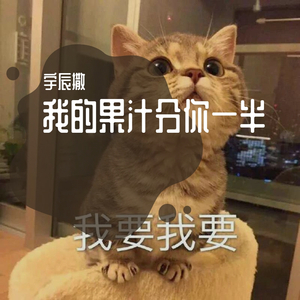 我的果汁分你一半