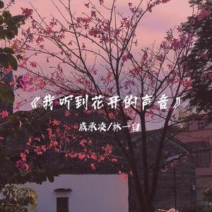 我听到花开的声音