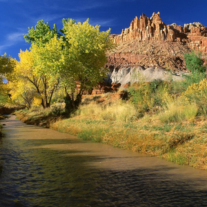 凯蒂猫对联壁纸