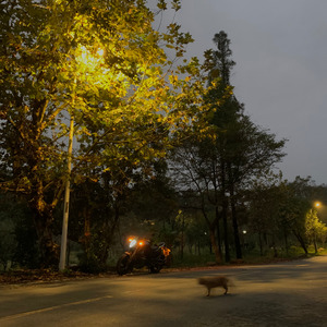 你又在思念谁（楠 remix）