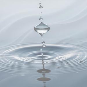 Tulips Breaking Through