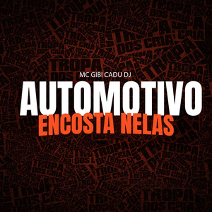 AUTOMOTIVO ENCOSTA NELAS
