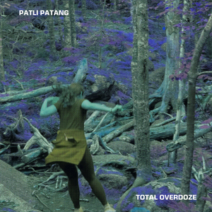 Patli Patang