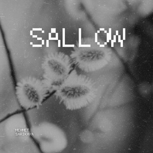 Sallow