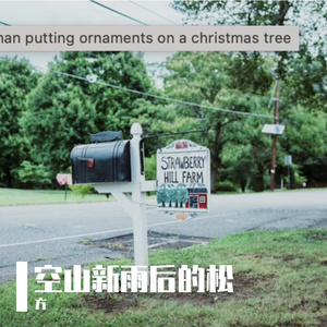 空山新雨后的松