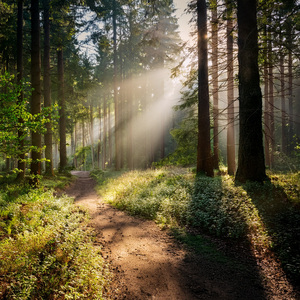 Looking For The Edge Of Time