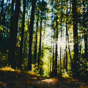 strong people are kind, so be strong