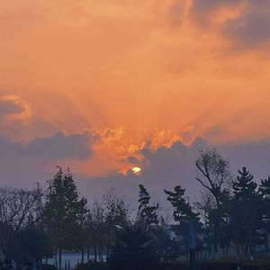 飞行(Cover：赵以白)