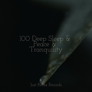 Subtle Flames of Tranquility