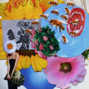 CSM (Como superar un Rechazo)