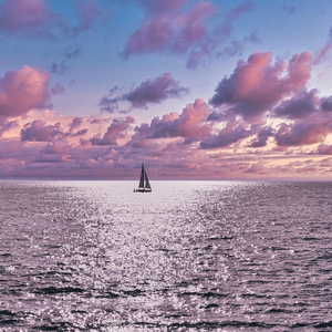 촉촉한 빗소리 무드의 멜로디