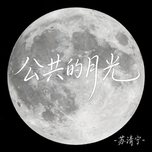 公共的月光
