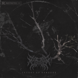 Intent Of Nowhere
