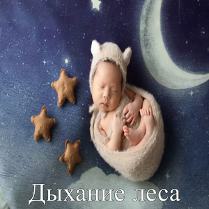 Ночная песня