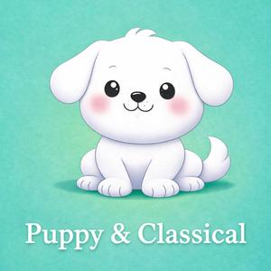 제비꽃 (제이엠의 키보드를 위한 편곡) (Rain Sounds)