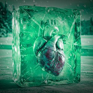 el ayudante en vivo (En vivo)