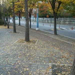 가을 독백 (feat. 트랙1)