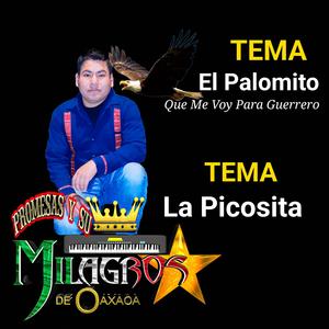 El Palomito Que Me Voy Para Guerrero (En vivo)