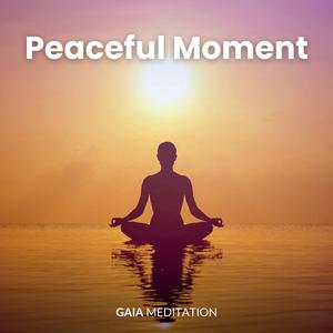 Peaceful Moment (528 Hz)