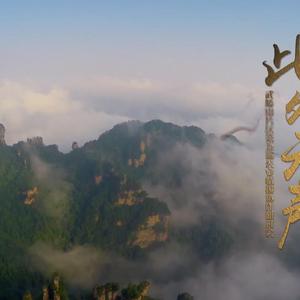 此处无声—情报警察之歌