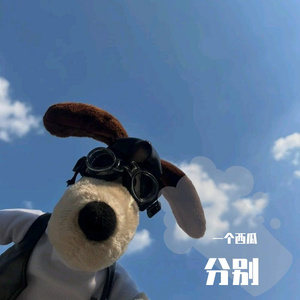 花开的时间 伴奏