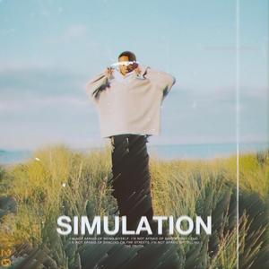 Simulation