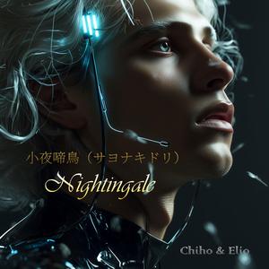 小夜啼鳥（サヨナキドリ） - Nightingale