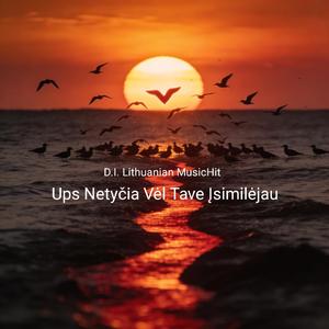 Ups Netyčia Vėl Tave Įsimilėjau