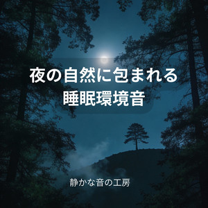 夜の環境に身を置く感覚