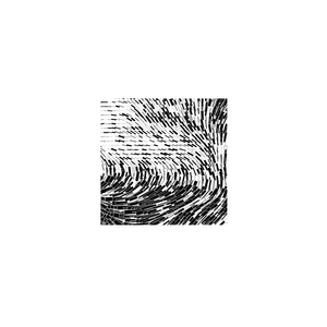 Every Particle