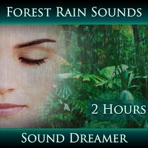 Forest Rain Sounds (2 Hours)