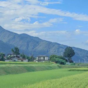 蒲公英带你去远方（demo）