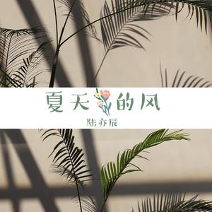 夏天的风