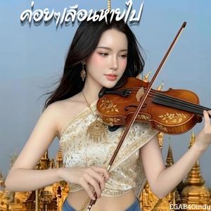 ค่อยๆเลือนหายไป