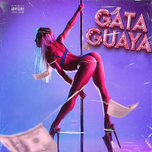 Gata Guaya