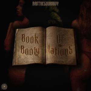 BOOK OF BOOTYLATIONS