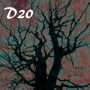 D20