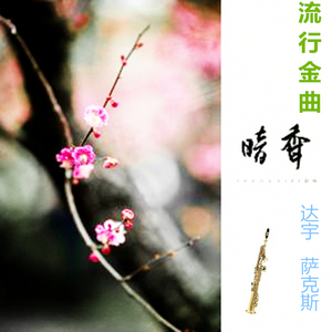 暗香-达宇（高音萨克斯）（翻自 沙宝亮）