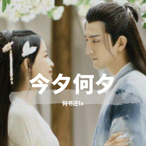 今夕何夕-电视剧《今夕何夕》主题曲（翻自 徐佳莹）