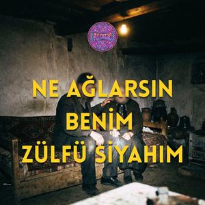 Ne Ağlarsın Benim Zülfü Siyahım