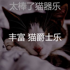 柔和的猫在家时刻